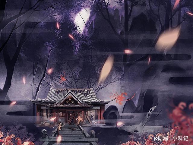 创作猫
